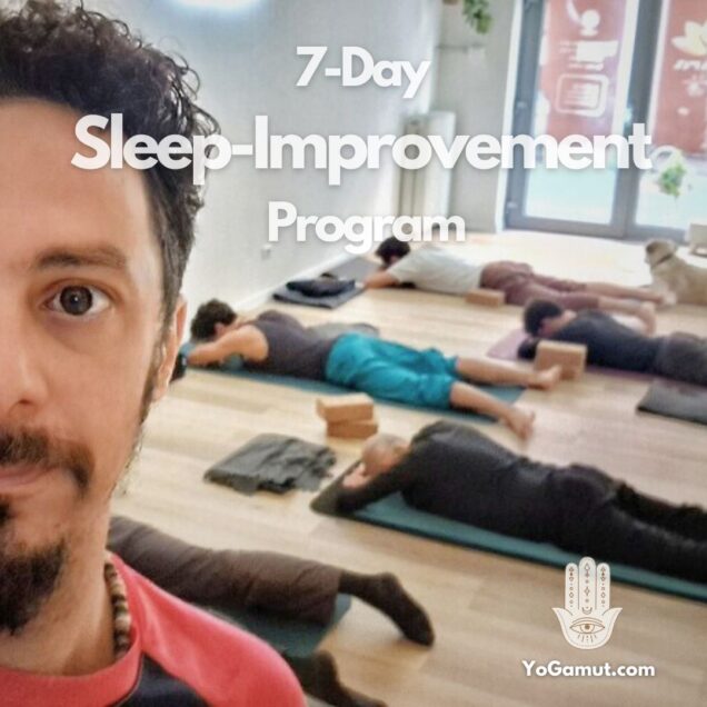 sleep improvement program